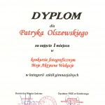 Dyplom z PSSE